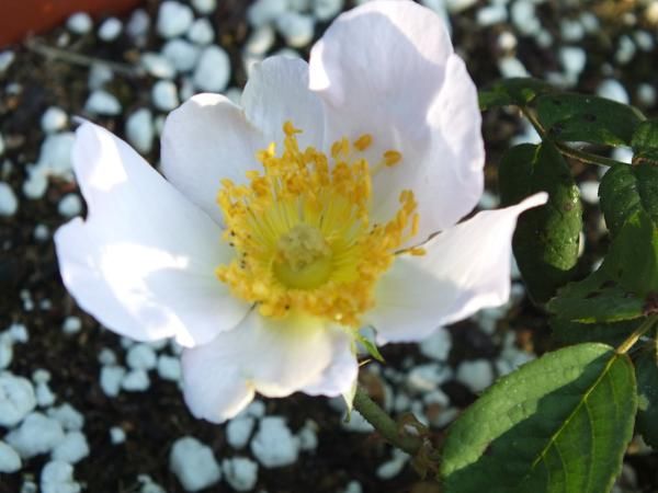  photo Stjohns_zps2b93477a.jpg